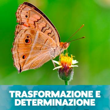 Kettlebell simbolo di resilienza, storia e trasformazione fisica
